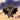 Bat single pop Charm