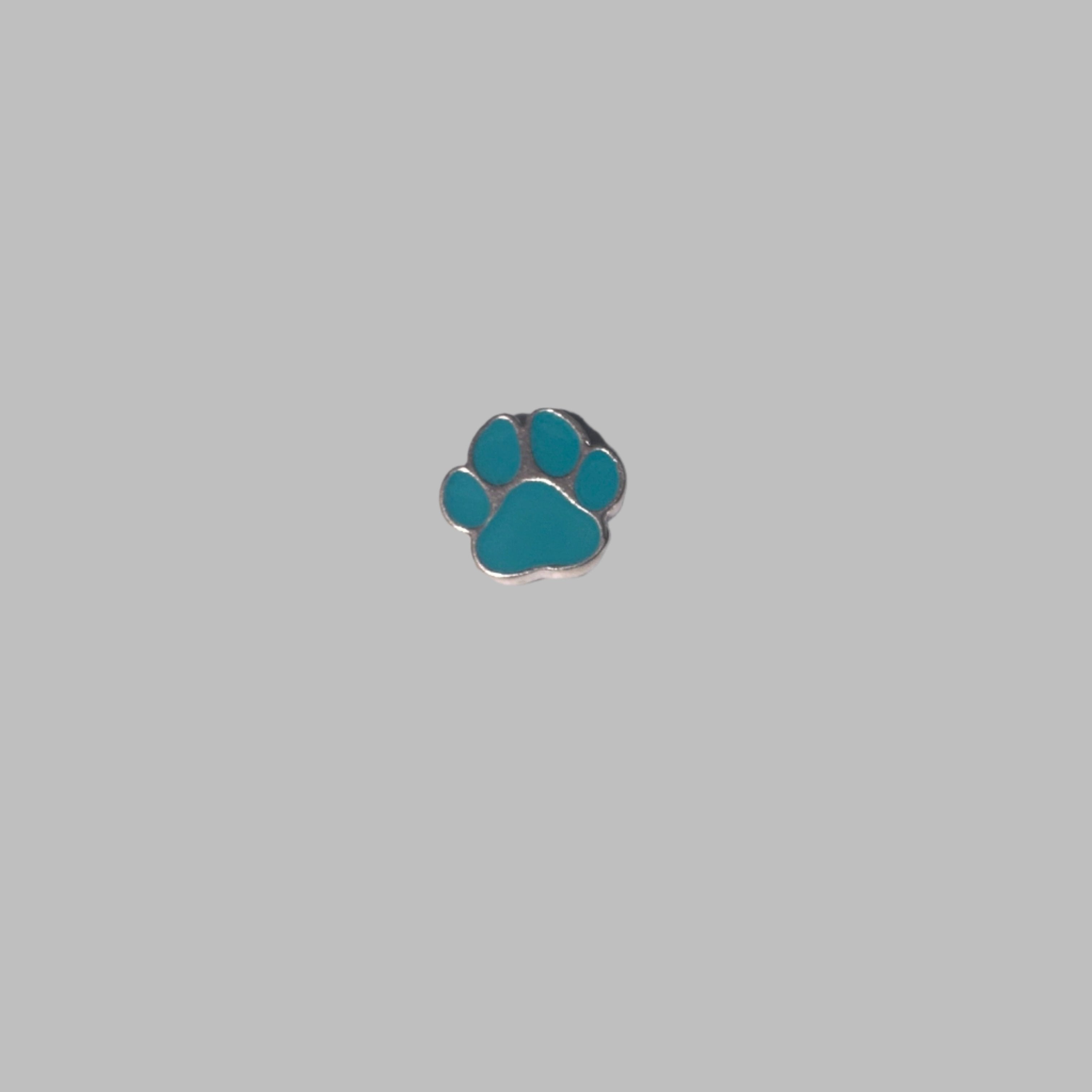 Teal  Dog Paw Pop charm