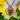 Bumblebee necklace